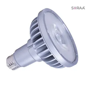 Bulbrite 777742 LED PAR30LN